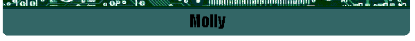 Molly